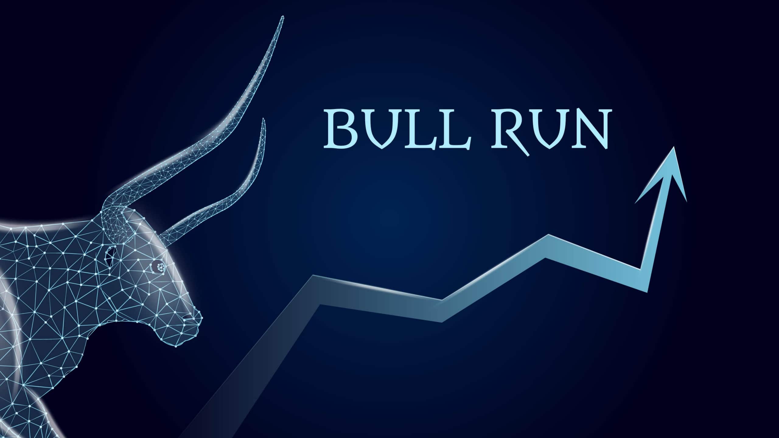 A big bull market run A big bull market run