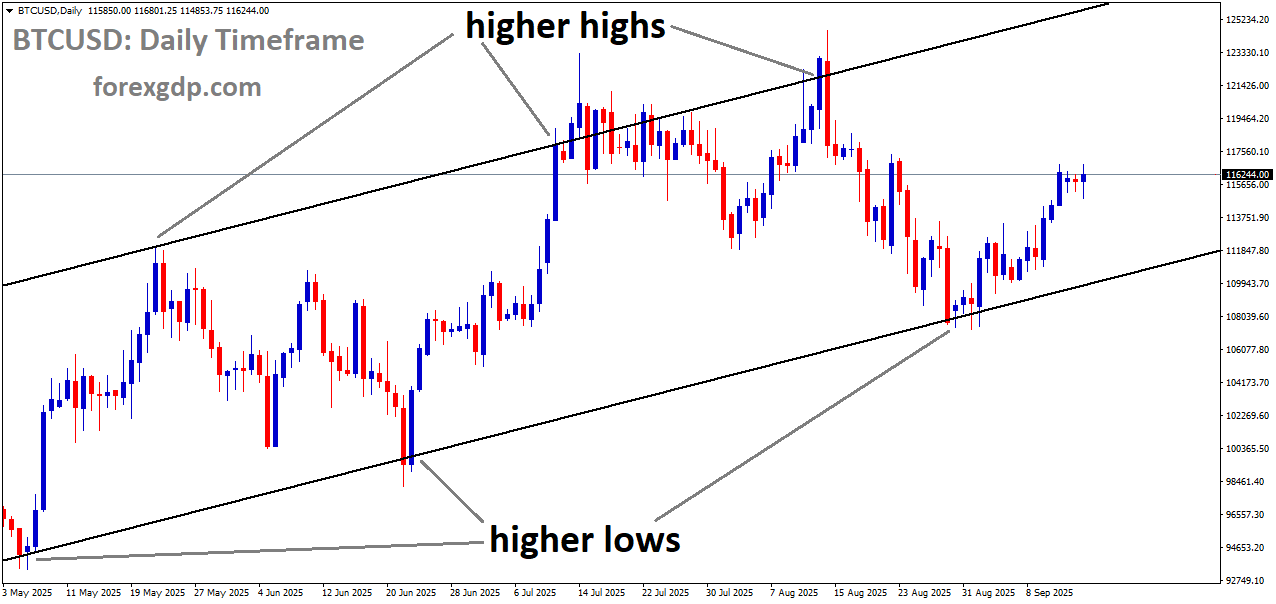 BTCUSD is moving in uptrend channel and market has rebounded from the higher low area of the channel