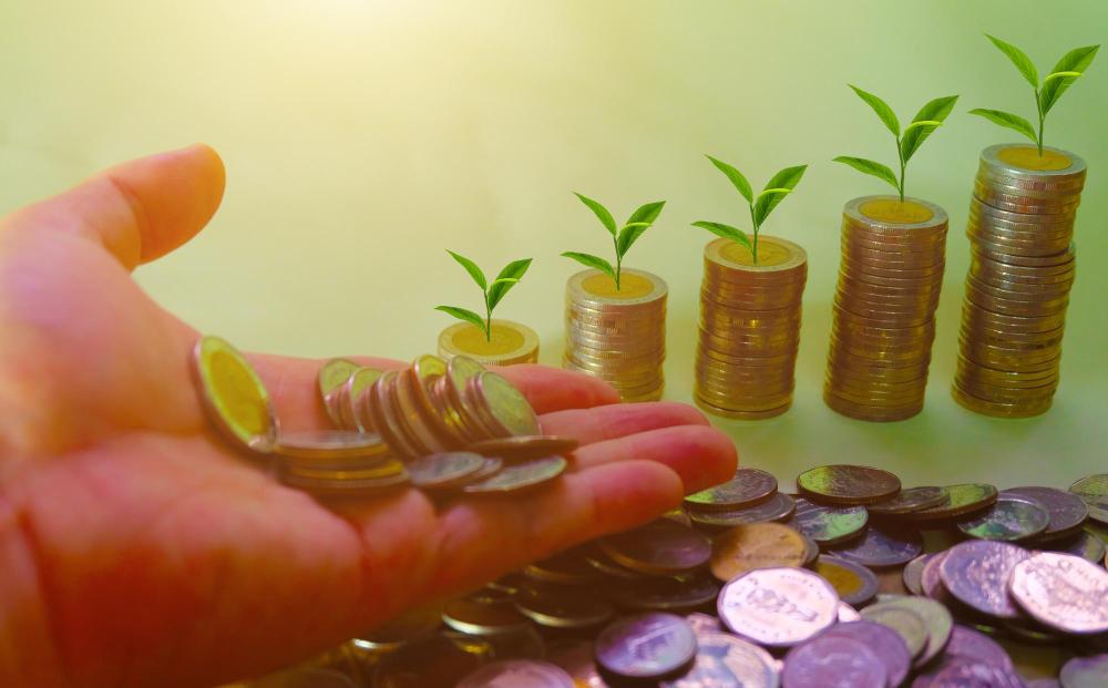 finance growth finance growth