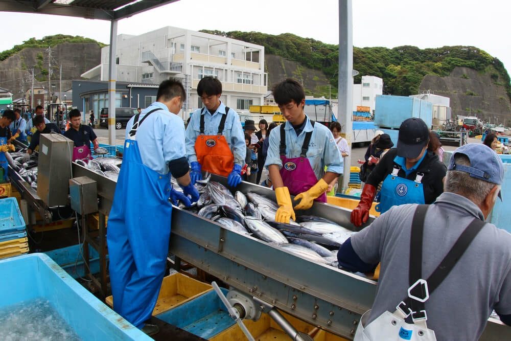 Japan FIshery Japan FIshery