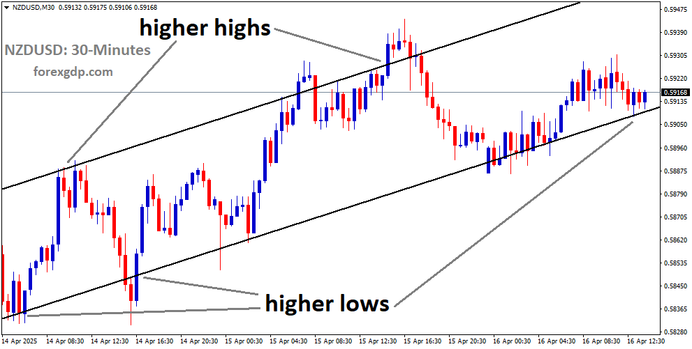 NZDUSD is moving in an uptrend channel, and the market has reached the higher low area of the channel NZDUSD is moving in an uptrend channel, and the market has reached the higher low area of the channel