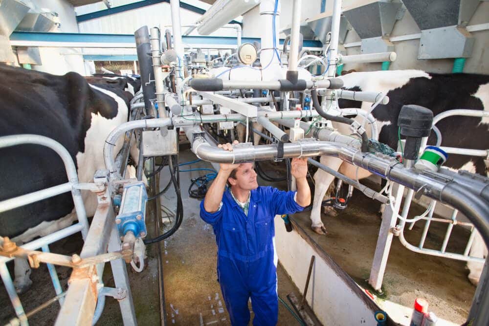 Rising milk prices failed to support New Zealand Dairy revenues Rising milk prices failed to support New Zealand Dairy revenues