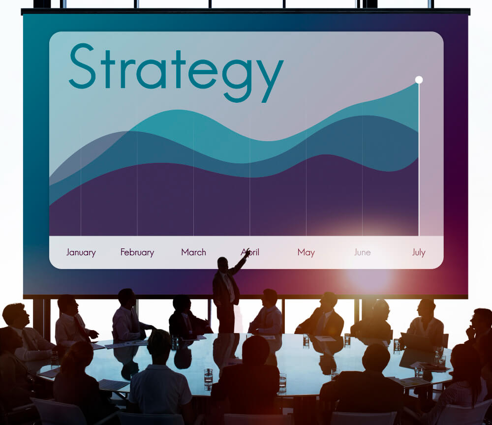 Strategists’ Views Strategists’ Views