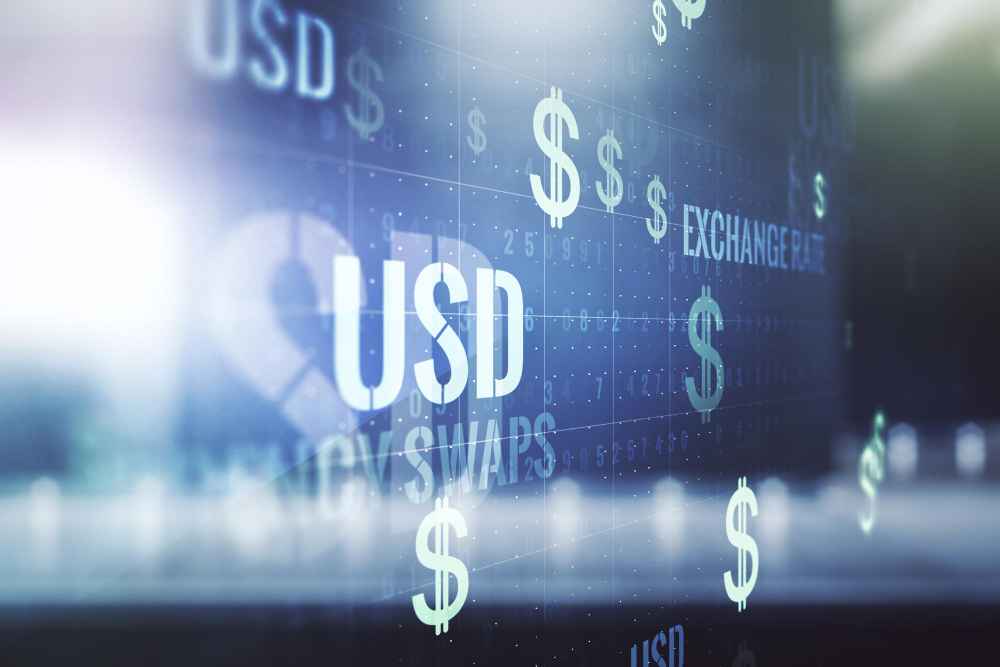 USD Dollar USD Dollar