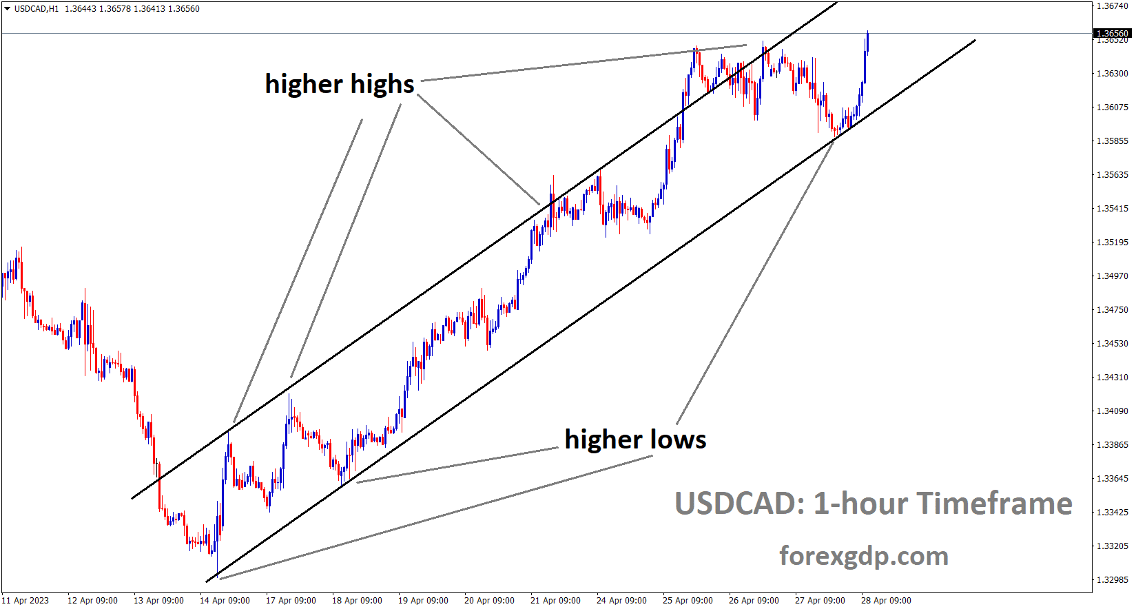 USDCAD is moving in an Ascending channel and the market has rebounded from the higher low area of the channel 4 USDCAD is moving in an Ascending channel and the market has rebounded from the higher low area of the channel 4