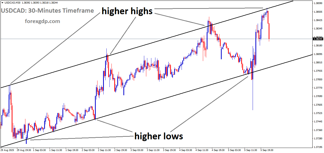 USDCAD is moving in an uptrend channel, and the market has fallen from the higher high area of the channel USDCAD is moving in an uptrend channel, and the market has fallen from the higher high area of the channel