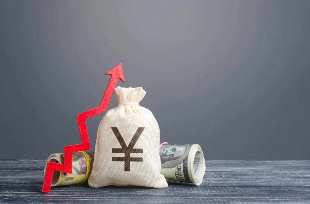 Yen yuan money bag Yen yuan money bag