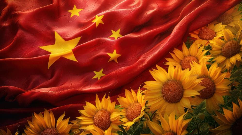 china china